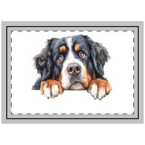 Dogs 17 Throw Pillow