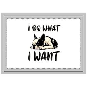 I Do What I Want Copia Throw Pillow