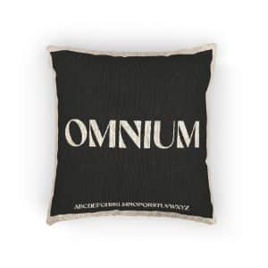 Omnium Woven Pillow