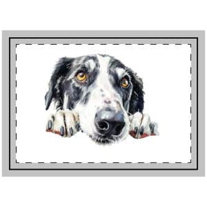 Dogs 13 Throw Pillow