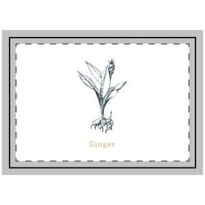 Ginger Throw Pillow
