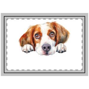 Dogs 14 Throw Pillow