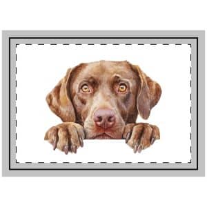 Dogs 24 Throw Pillow