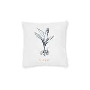 Ginger Square Pillow Pink Back