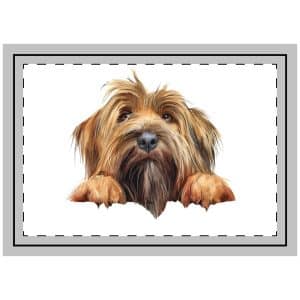Dogs 2 Throw Pillow