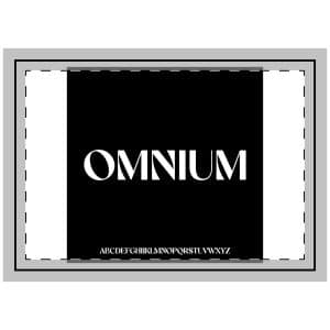 Omnium Throw Pillow