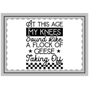 This Age My Knees Sound Like Flock Geese Taking Off Throw Pillow